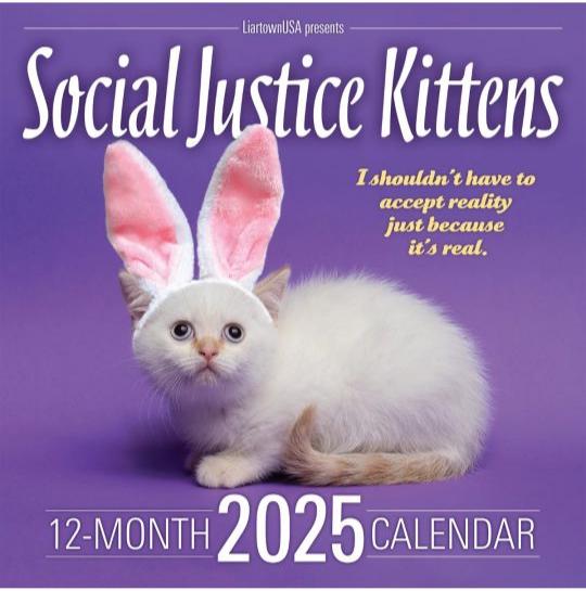 2025 Social Justice Kittens Calendar Burning Books