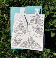 Spread Your Wings and Fly: 3D Butterfly House Card