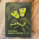 Butterfly and Moth Pin Set