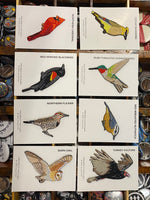 Bird Patches from Bird Collective