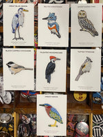 Bird Patches from Bird Collective