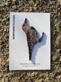 Bird Patches from Bird Collective