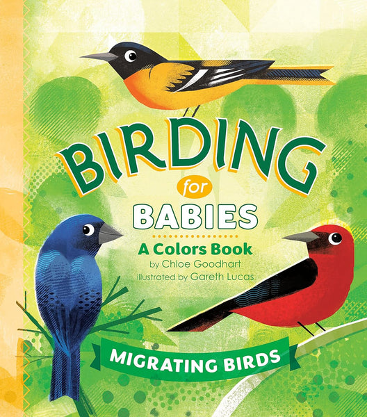 Birding for Babies: Migrating Birds: A Colors Book