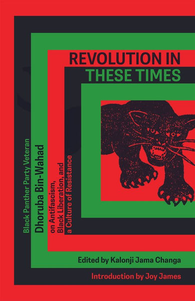 Revolution in These Times: Black Panther Party Veteran Dhoruba Bin Wahad on Antifascism, Black Liberation, and a Culture of Resistance