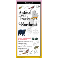Animal Tracks of the Northeast