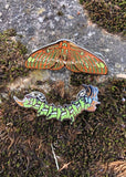 Butterfly and Moth Pin Set