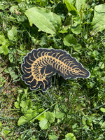 Black Centipede Sticker