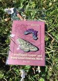 Butterfly and Moth Pin Set