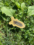 Firefly Sticker