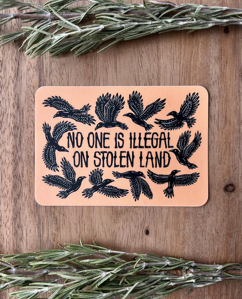 No One Is Illegal On Stolen Land Sticker
