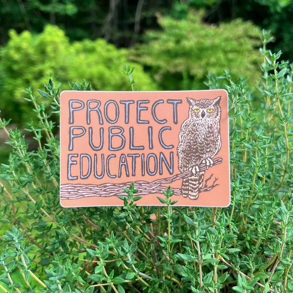 Protect Public Education Sticker