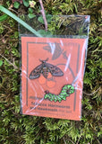 Butterfly and Moth Pin Set