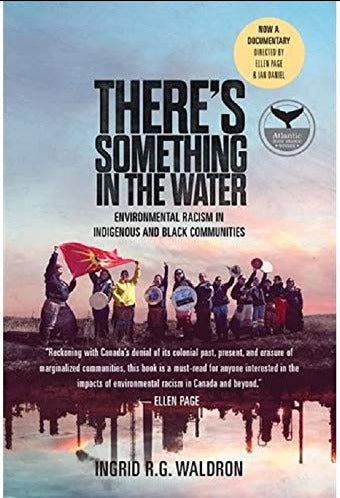 There's Something in the Water: Environmental Racism in Indigenous & Black Communities