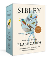 Sibley Backyard Birding Flashcards, Revised and Updated: 100 Common Birds of Eastern and Western North America