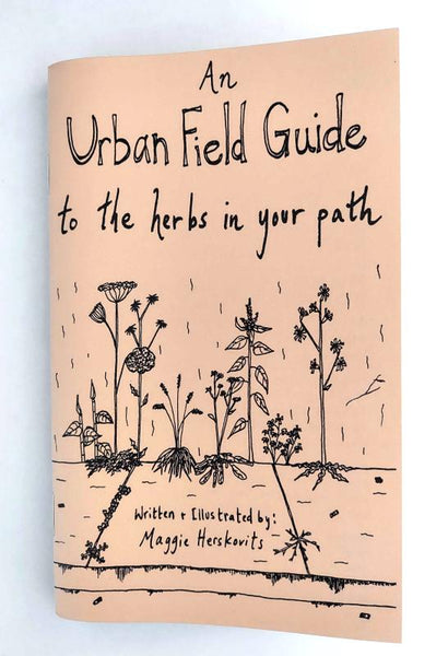 An Urban Field Guide to the Herbs in Your Path