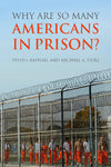 Why Are So Many American's in Prison?