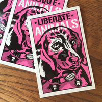 Liberate Animals Sticker