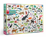 Beautiful World 100 Piece Puzzle