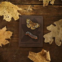 Butterfly and Moth Pin Set