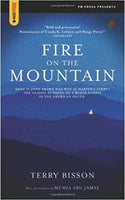 Fire on the Mountain (Spectacular Fiction)