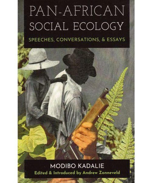 Pan-African Social Ecology: Speeches, Conversations, and Essays